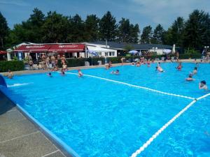 a group of people swimming in a swimming pool at Guest House Stara Baranja in Kneževi Vinogradi