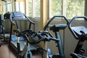 Fitness centrum a/nebo fitness zařízení v ubytování Hotel Dei Platani