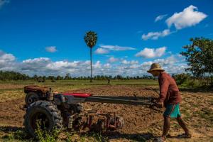 Majutusasutuse Siem Reap Homesteading külastajad