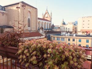 a plant on a balcony with a church at Dei Gerolomini in Naples