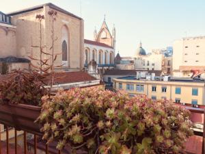 uma planta numa varanda com uma igreja em Dei Gerolomini em Nápoles