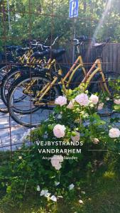 een groep fietsen geparkeerd naast een bord met rozen bij Vejbystrands Vandrarhem in Vejbystrand