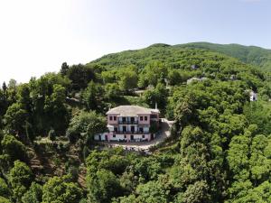 an aerial view of a house in the forest at Villa Horizon in Tsagarada