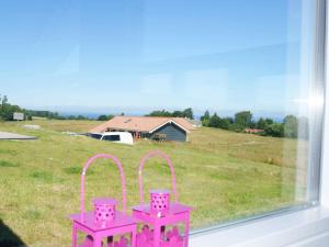 une fenêtre avec deux paniers roses dans un champ dans l'établissement 10 person holiday home in Augustenborg, à Asserballeskov