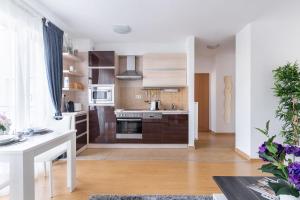 A kitchen or kitchenette at Matthias Home Midtown Budapest
