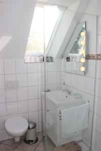 a bathroom with a toilet and a sink and a window at Ferienvermietung Meerlandliebe in Beschendorf