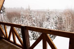 una vista invernale dal ponte di una cabina di Dachna Sadyba PB a Myhove