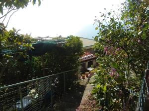 a garden with a fence and some plants at GIARDINO SUL MARE in Amalfi