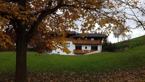 una casa su una collina con un albero in primo piano di Alpenchalet "DAHOAM" a Going