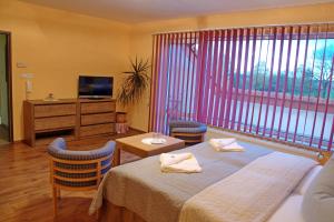 a bedroom with a bed with two chairs and a television at Pension Nataliya in Ostrov