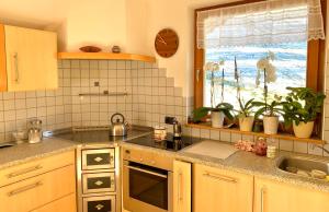 A kitchen or kitchenette at Apartment HaNiLe
