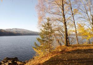 Photo de la galerie de l'établissement Lipno Pearl, à Lipno nad Vltavou