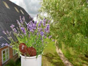 Foto dalla galleria di Ferienhof Kragholm a Munkbrarup