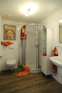 a bathroom with a shower and a toilet and a sink at Ferienhof Kragholm in Munkbrarup