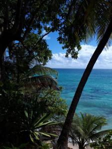 Φυσικό τοπίο κοντά σε αυτή η παραθεριστική κατοικία