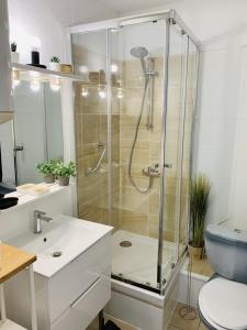 帕拉瓦莱弗洛Superbe ! Appart T3 - Vue mer - Garage的带淋浴、盥洗盆和卫生间的浴室 更多13张照片