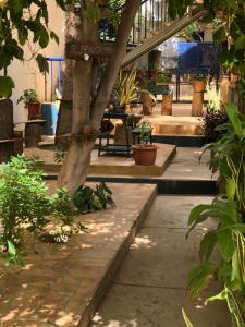a garden with a tree and some plants at Couple Getaway with Panoramic Ocean View in Praia