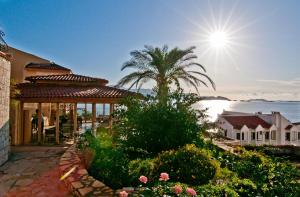 a house with a palm tree in front of the ocean at Lycia Hotel in Kaş