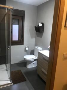 La salle de bains est pourvue de toilettes, d'un lavabo et d'une douche. dans l'établissement LA GARGANTILLA, à Jerte