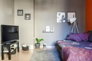 a living room with a bed and a flat screen tv at Apartment 11 in Sofia