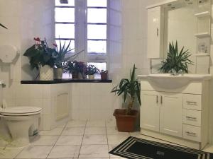 a bathroom with a toilet and a sink and potted plants at Merchant House in Kirkcaldy