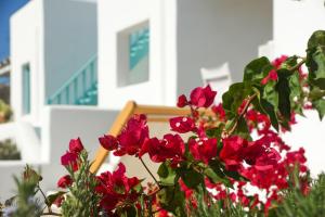 a bunch of red flowers in front of a chair at Ploes Seaside Houses in Plaka
