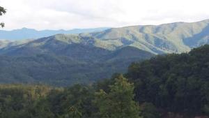 a view of a mountain range with trees and mountains at #2168 A View for Two in Dupont Springs