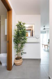 Fotografia z galérie ubytovania Apartamentos Las Terrazas de Sotavento v destinácii La Mareta