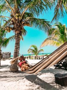 Foto da galeria de Casa Luz Beach Front Holbox em Holbox