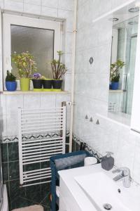 a bathroom with a sink and a mirror and potted plants at Apartment Magnolija in Karlovac