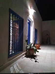 a room with a door and a potted plant at Dar Tenast in Houmt Souk