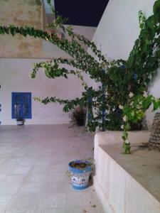 a potted tree sitting in a room with a building at Dar Tenast in Houmt Souk