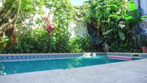 a swimming pool in a yard with plants at Managua Apart Hotel in Puerto Iguazú