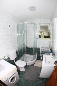 a bathroom with a shower and a toilet and a sink at Apartment Magnolija in Karlovac