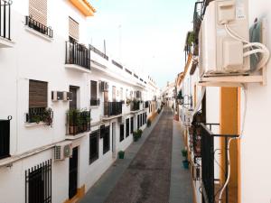 een steegje tussen twee gebouwen met potplanten bij Apartamentos Ruz in Córdoba