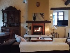 a living room with a fireplace and a couch at Histoire d'eau in Rupt-sur-Saône