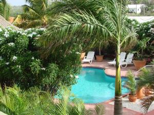 庫努庫別墅阿魯巴島熱帶花園公寓游泳池或附近泳池