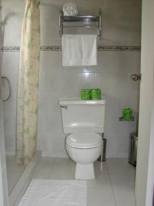 a bathroom with a white toilet and a shower at Cunucu Villas - Aruba Tropical Garden Apartments in Oranjestad