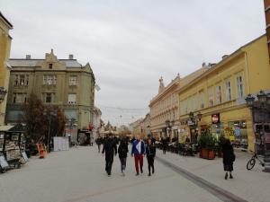 a group of people walking down a street at FilinHome Zmaj Jovina Suite in Novi Sad