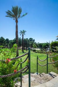 a rope fence with a palm tree in a park at Vale d'El Rei Hotel & Villas in Carvoeiro