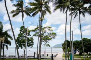 - une vue sur la plage depuis un parc planté de palmiers dans l'établissement Mad Monkey Waterfront, à Cairns