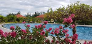 een zwembad met roze bloemen ervoor bij Muong Thanh Grand Ha Tinh Hotel in Kỳ Anh