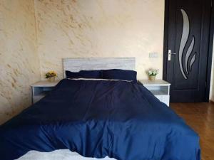 Voodi või voodid majutusasutuse Chase Dream Hostel追梦空间 toas
