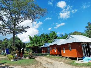 un groupe de maisons avec des arbres en arrière-plan dans l'établissement Pai Forest Resort, à Pai