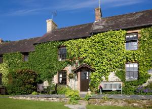 an ivy covered house with a bench in front at Clydey Cottages Pembrokeshire in Pembrokeshire