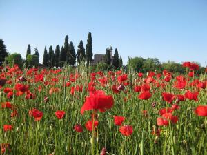 Vonkajšia záhrada v ubytovaní Agriturismo Campagnoletto