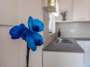 Kuchyň nebo kuchyňský kout v ubytování Apartment Antonio