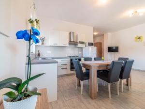 Kuchyň nebo kuchyňský kout v ubytování Apartment Antonio