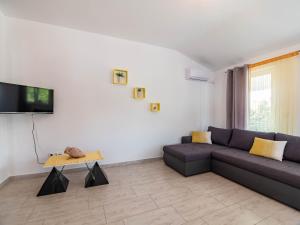 TV a/nebo společenská místnost v ubytování Apartment Antonio