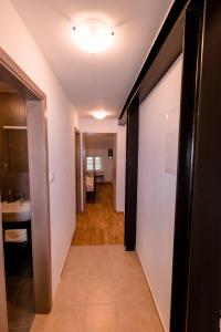 Gallery image of Apartments Pia in Piran
